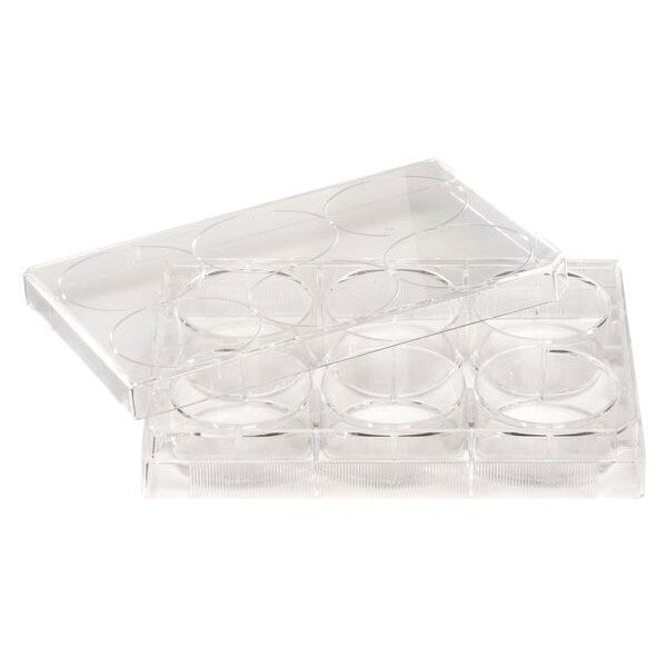 Non-Treated Plate, 12 Well, PK100
