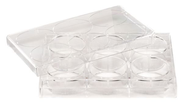 12 Well Tissue Culture Plate w/Lid, PK50