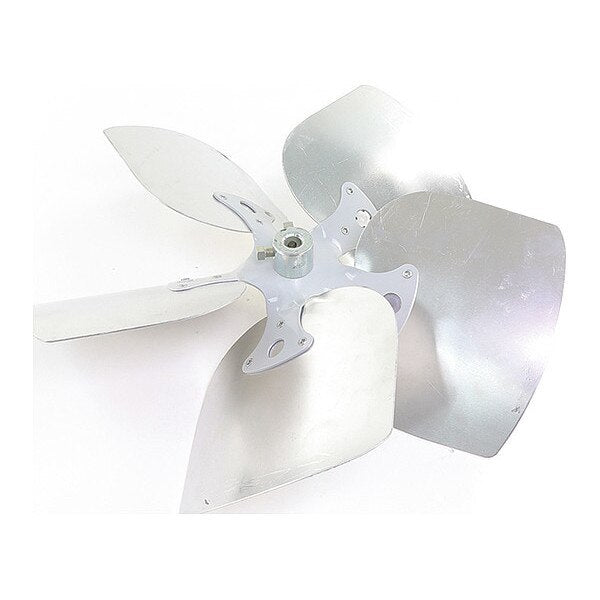 Fan, 16