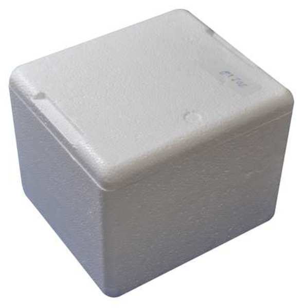 Insulated Bio Foam Shipping Container, Inside 6âL x 5âW x 4.5âD