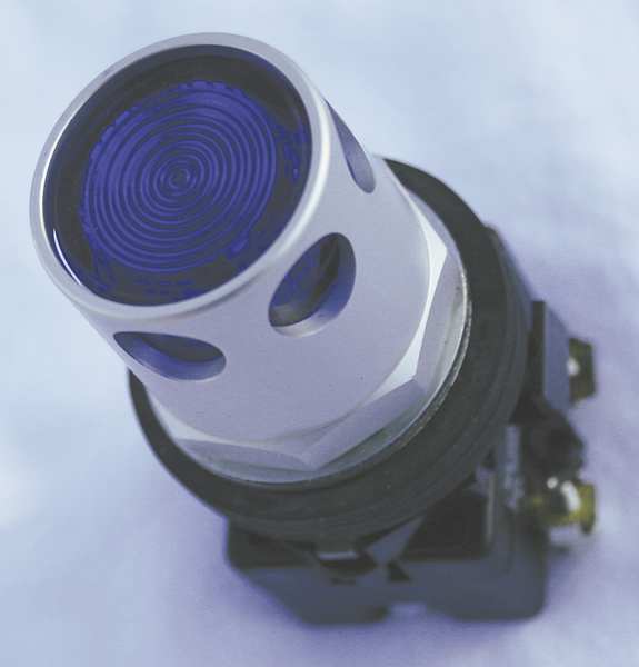 Illuminated Push Button, 30 mm, 1NO/1NC, Blue