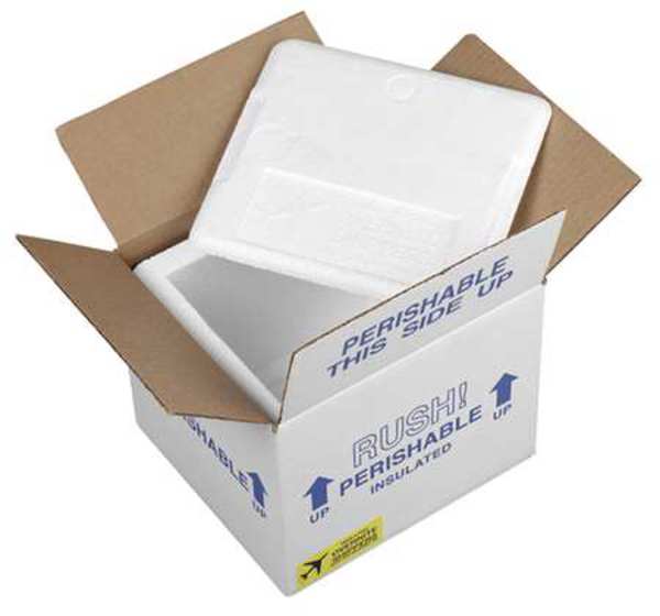 Insulated Overnight Shipping Foam & Carton, 1-2 Day