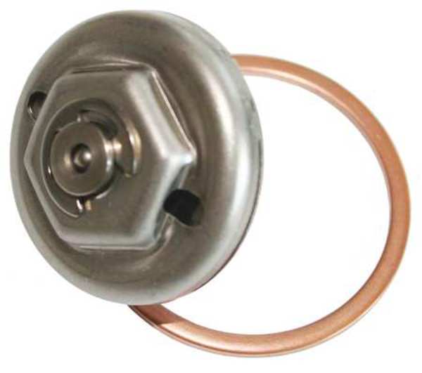 Replacement Module For Steam Trap