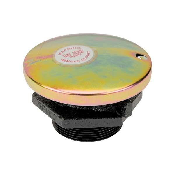 Vent Cap, 2 In NPT Outlet