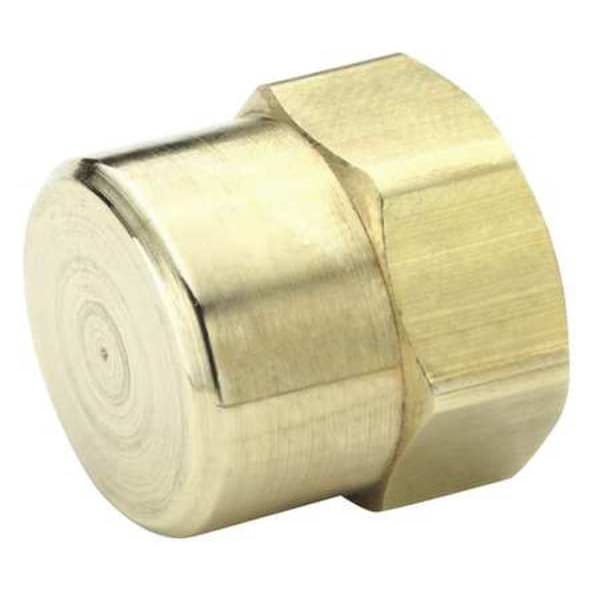 Brass Dryseal Pipe Fitting, FNPT, 1/4