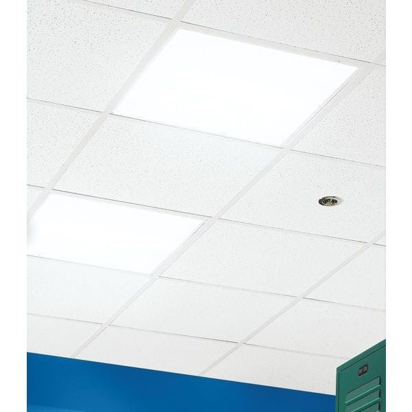 Ceramaguard Ceiling Tile, 24 in W x 48 in L, 6 PK
