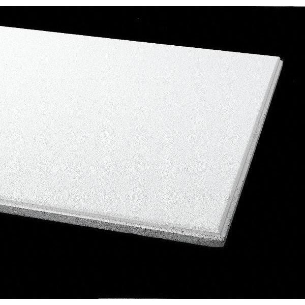 Ceramaguard Ceiling Tile, 24 in W x 48 in L, 6 PK