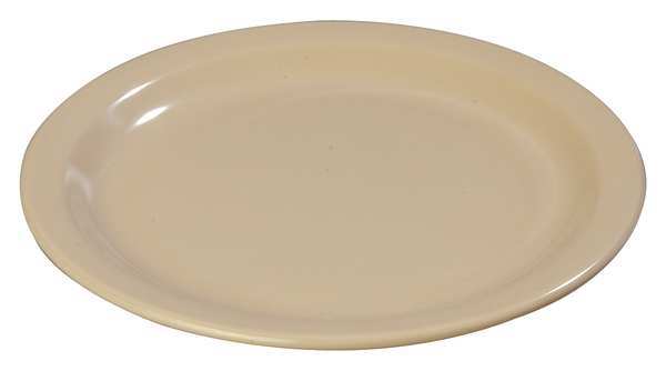 Dinner Plate, 10-1/4