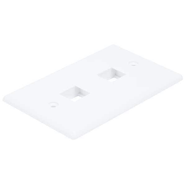 WallPlate, Blank, 2 Hole, White