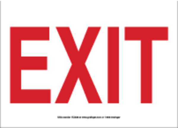 Exit Sign, 10 in Height, 14 in Width, Vinyl, English