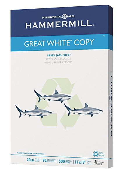 Recycled Paper, 11 x 17 In, Wht, PK500