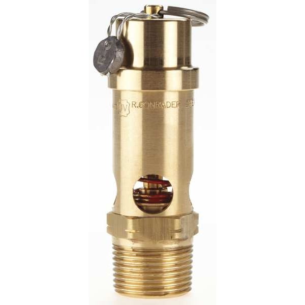 Safety Valve, Soft Seat, 3/4 In, 60 PSI