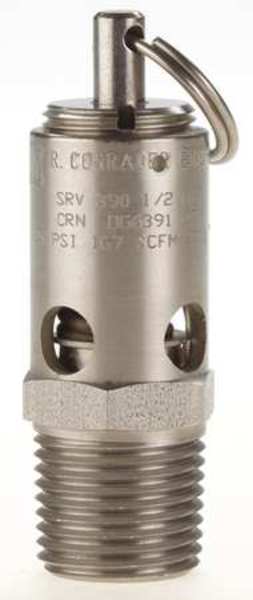 Safety Valve, Soft Seat, 1/2In, 300 PSI, SS