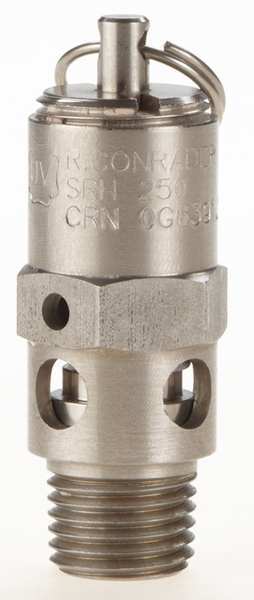 Safety Valve, Hard Seat, 1/4In, 350 PSI, SS
