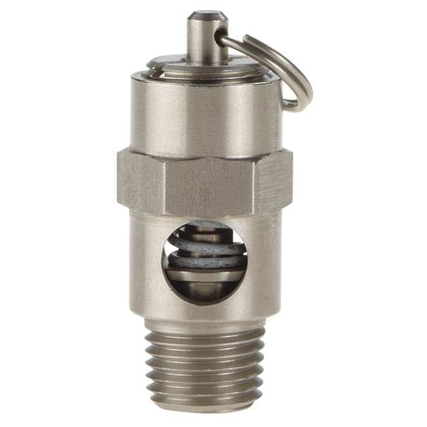 Safety Valve, Soft Seat, 1/4 In, 75 PSI, SS