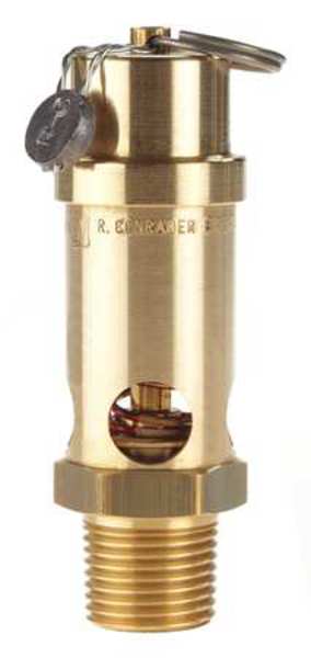 Safety Valve, Soft Seat, 1/2 In, 175 PSI