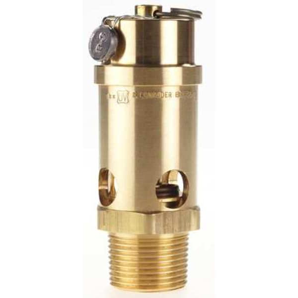 Safety Valve, Soft Seat, 1 In, 250 PSI