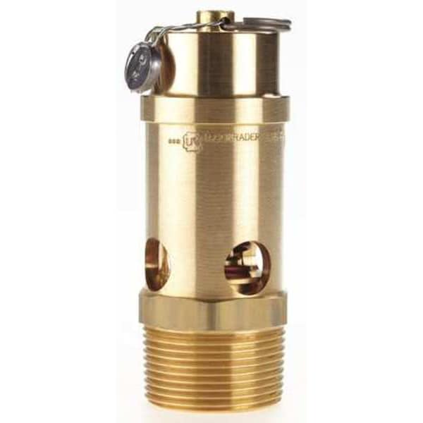 Safety Valve, Soft Seat, 1-1/4In, 100 PSI