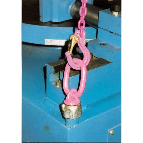Hoist Ring, 180 Pivot, 3120 lb.Load Cap.