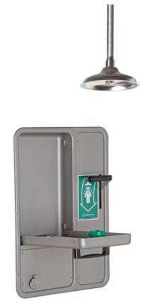 Shower/Eye Face Wash, Lab Combination