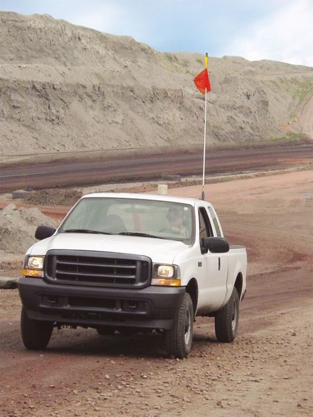 Warning Whip, 10 ft., Includes Flag