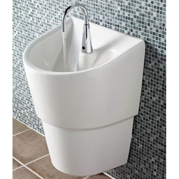 20 in W x 17 in L x 26 1/8 in H, Wall Mount, Vitreous china