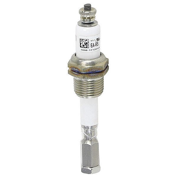 Electrode Assembly