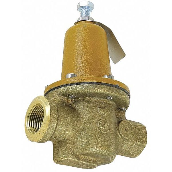 Backflow Check Valve, 3/4