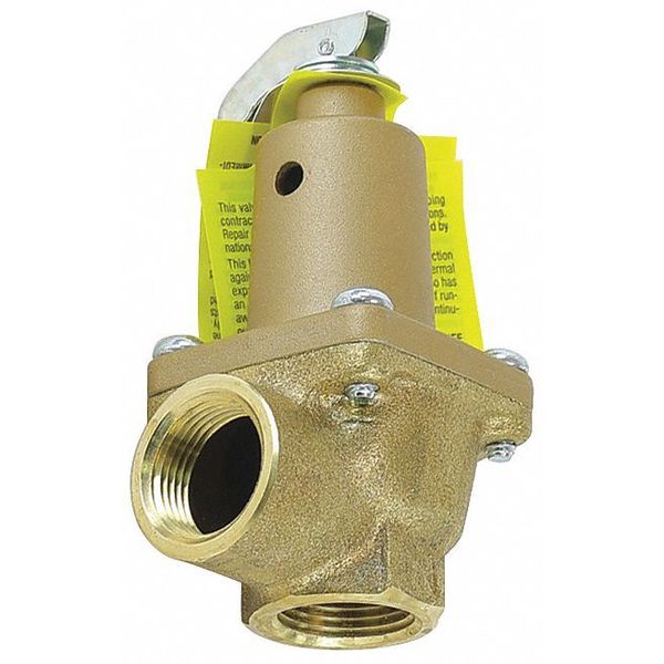 Backflow Check Relief Valve, 3/4