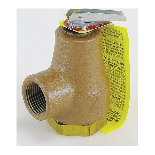 Backflow Check Relief Valve, 550000 Btu