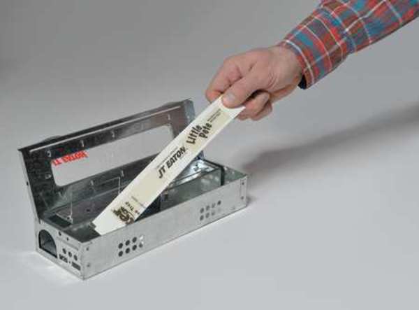 Mouse Trap, 10-3/8 In. L, 3-1/2 In. W