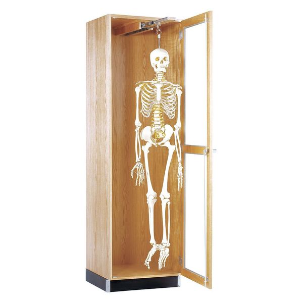 Red Oak Storage Cabinet, 24 in W, 84 in H
