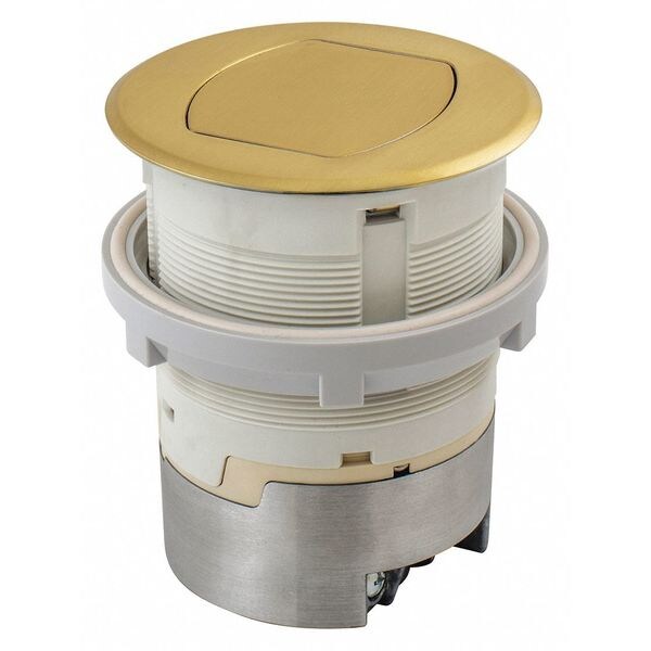 Ktcn Cntr, Receptacle, Surf Brass, 15A Kit