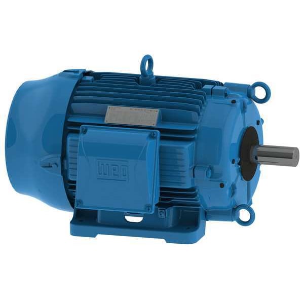 Cooling Tower Motor, Three Phase, 40 HP, 1,770 Nameplate RPM, 230/460V AC, 324T Frame