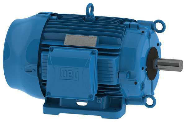 Cooling Tower Motor, Three Phase, 30 HP, 1,765 Nameplate RPM, 200V AC, 284/6T Frame