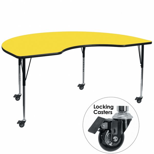 Kidney Activity Table, 48