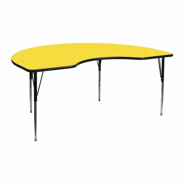 Kidney Activity Table, 48