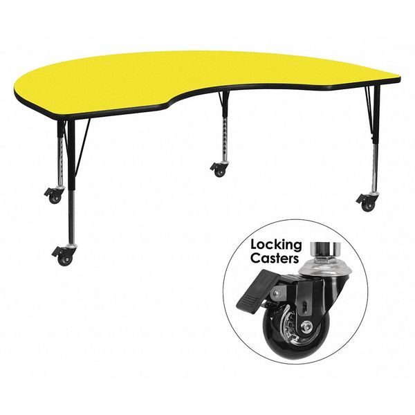 Kidney Activity Table, 48