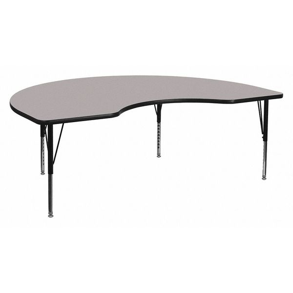 Kidney Activity Table, 48