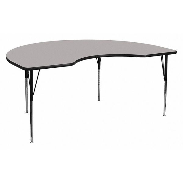 Kidney Activity Table, 48