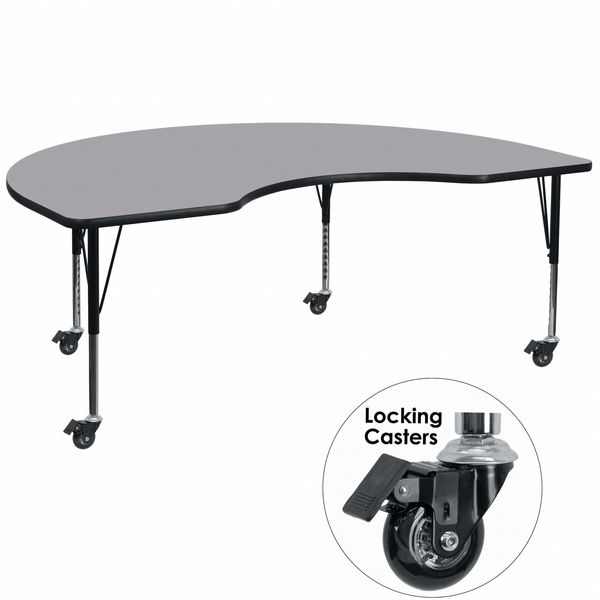 Kidney Activity Table, 48