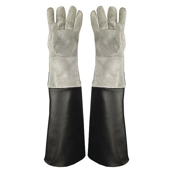 Glove, Catch, Full Length, PR1