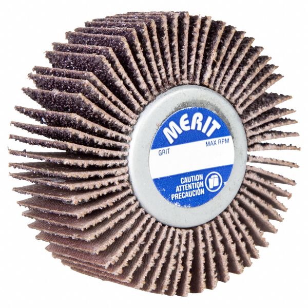 Flap Wheel, Aluminum Oxide, 2 1/2