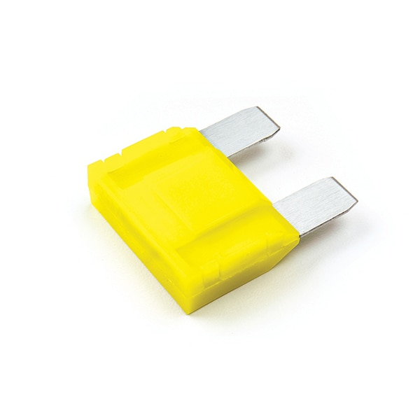 Maxi Fuse, 20A