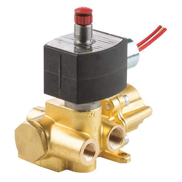 24V DC Brass Solenoid Valve, 1/4 in Pipe Size