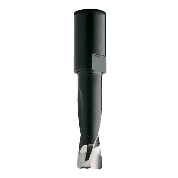 Router Bit For Domino Xl Joining, 10, Rght