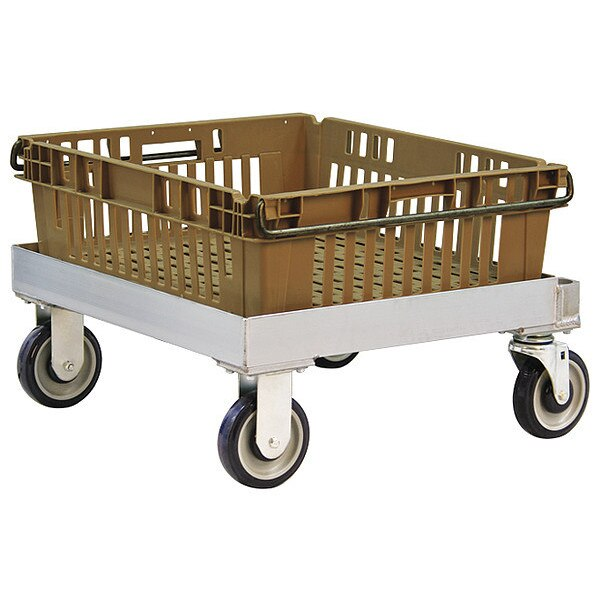 Dolly, Chillpac, 19