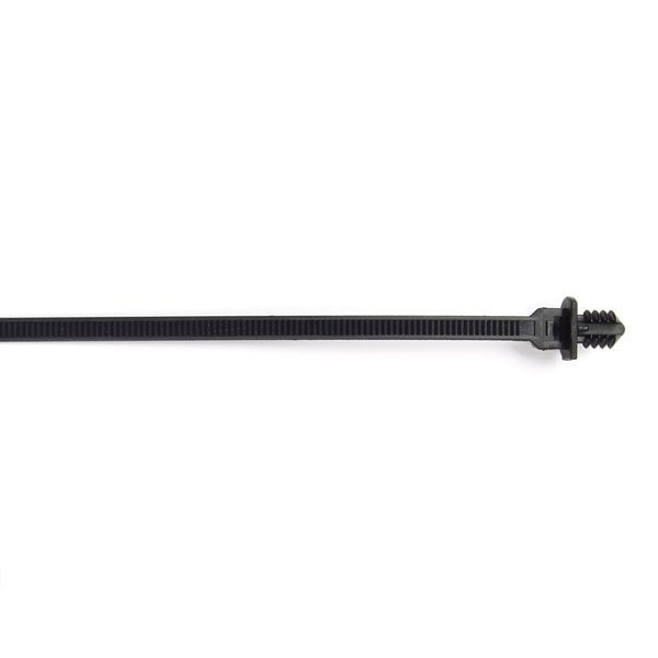 Fir Tree Push Tie, 8.2