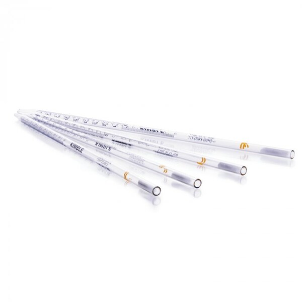 Disposable Serological Pipette, 50mL, PK50