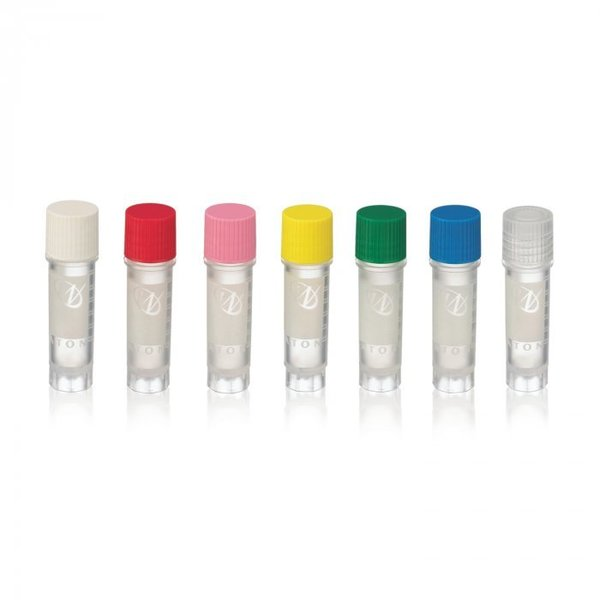Staining Jar, 4 Cover Slips, 44mm H, PK6
